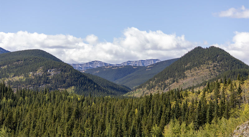 Two Hills