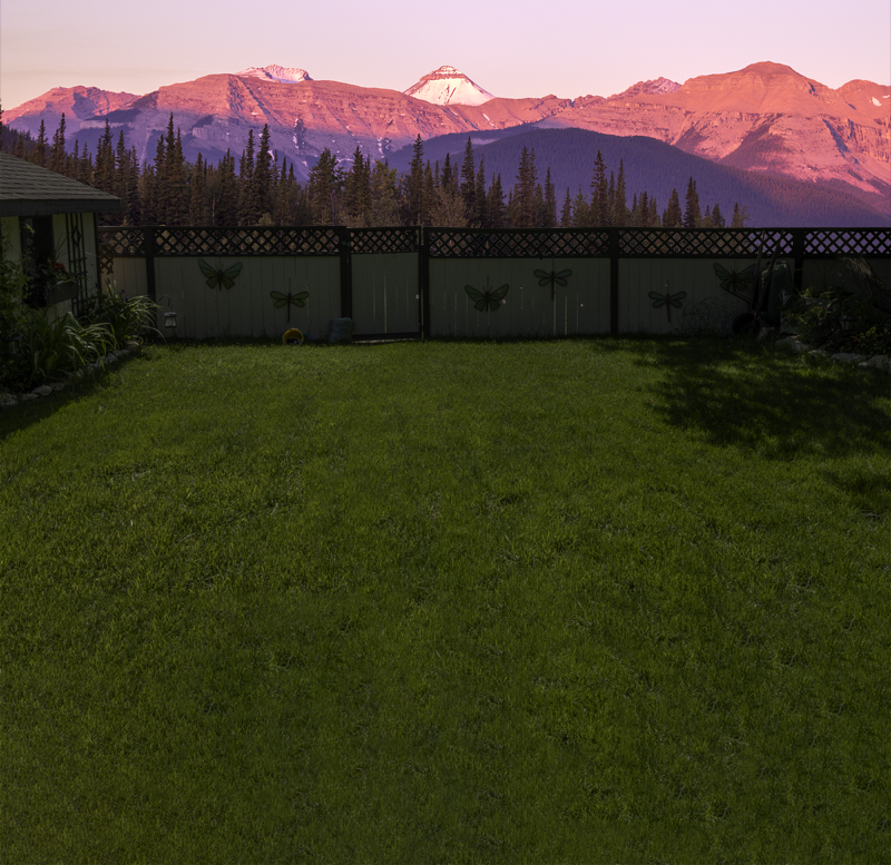 Backyard Mountain