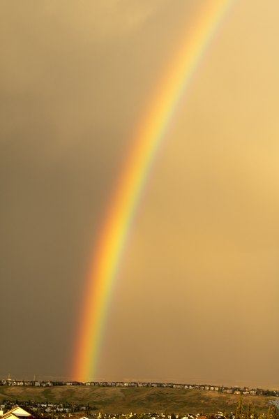 Rainbow 2