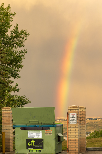 Rainbow Pot O Gold